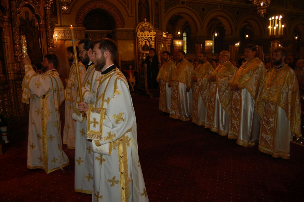 Catedrala Timisoara (1)