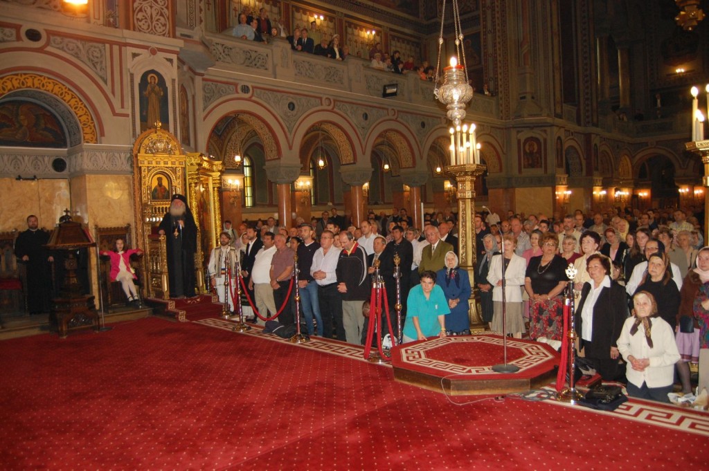 Catedrala Timisoara (2)