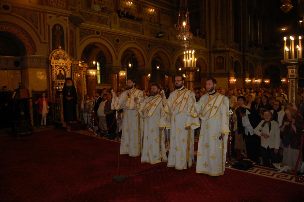 Catedrala Timisoara (3)