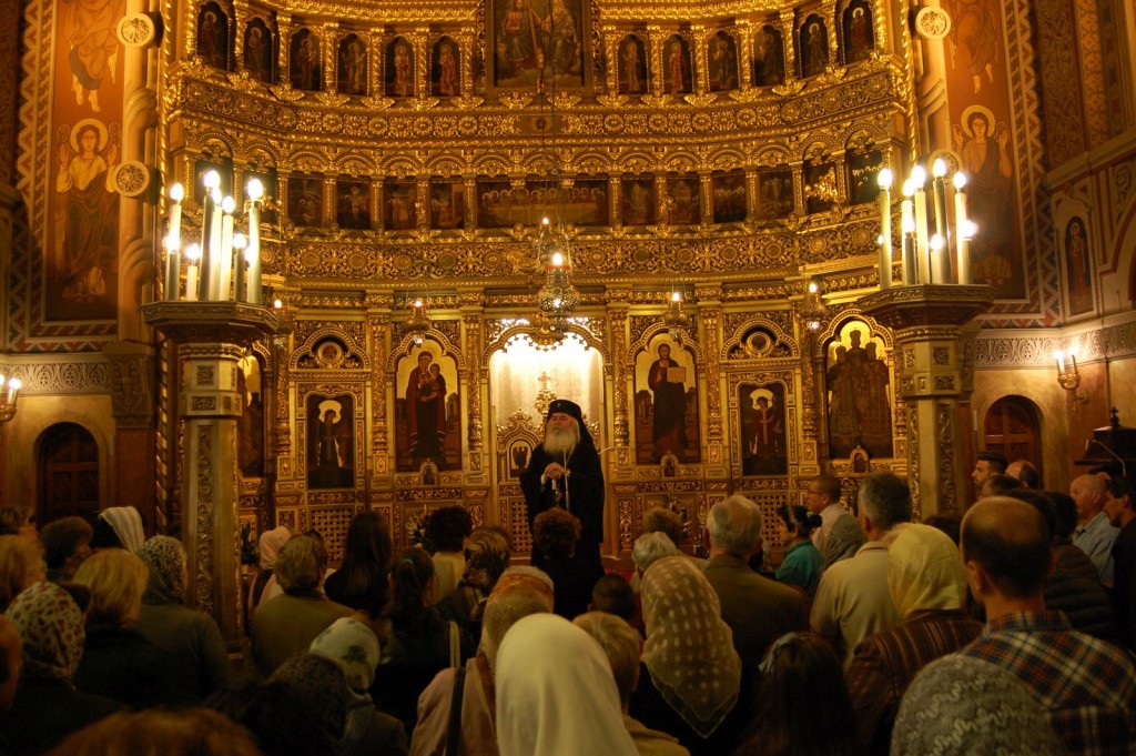 Catedrala Timisoara (5)