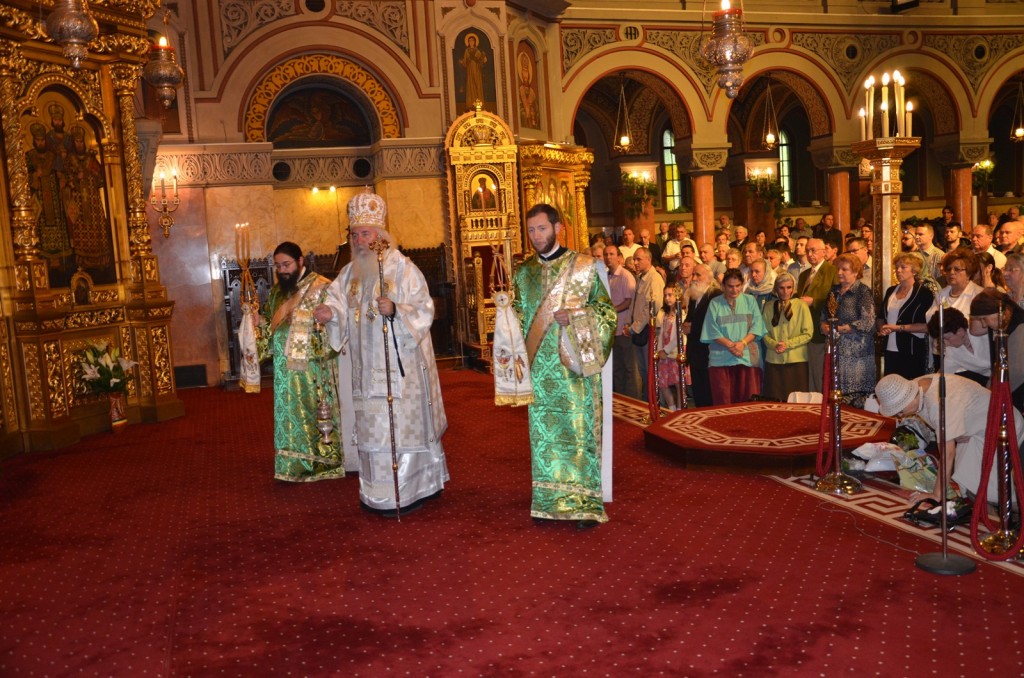 Picture 012