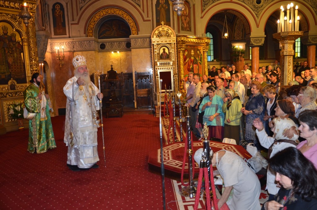 Picture 013