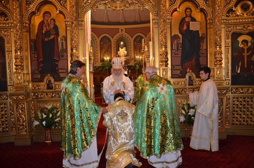 Picture 023