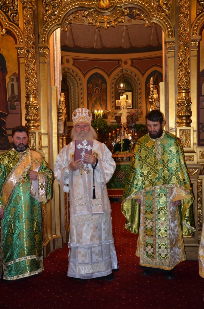 Picture 034