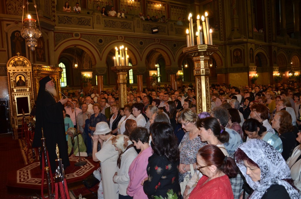 Picture 040