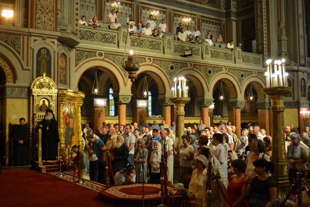 Picture 022