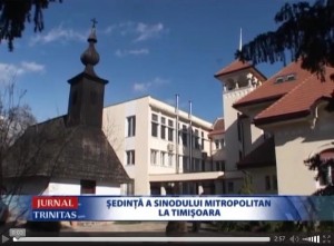 sin_mitro