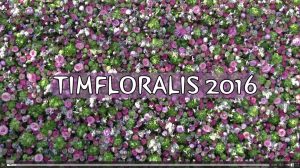 timfloralis_