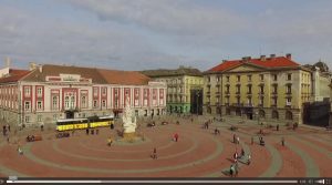 tmvazcer