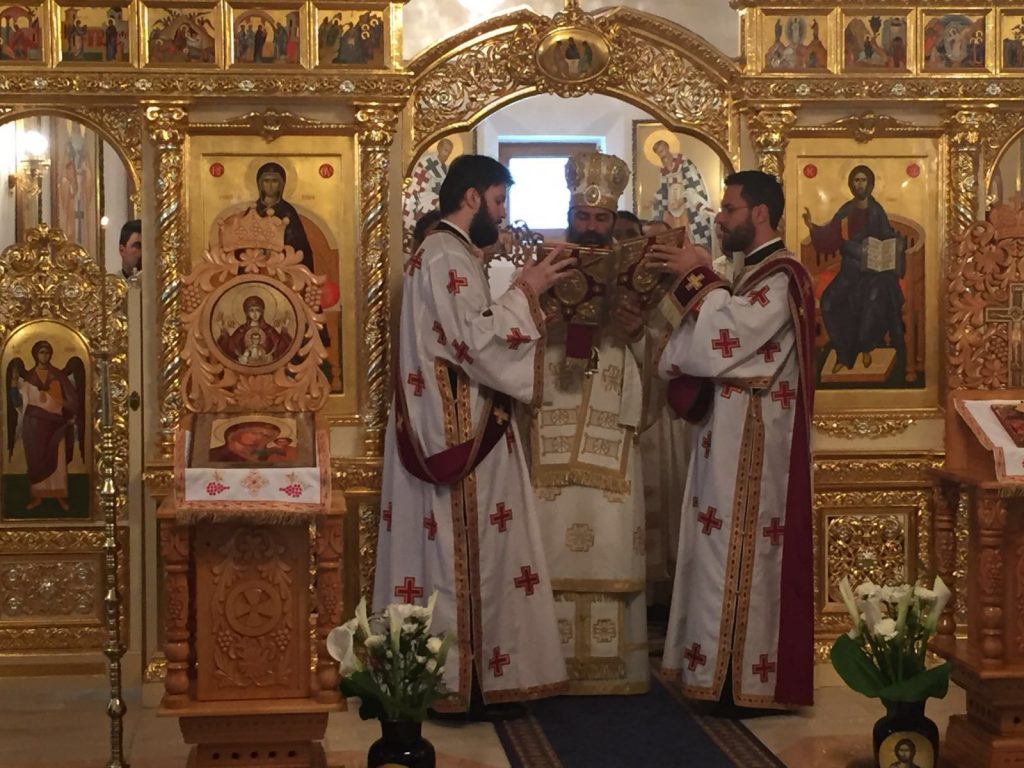 Sfintire iconostas Dobresti (8)