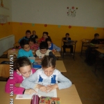 sam_3523