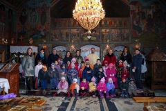 Timisoara Plopi