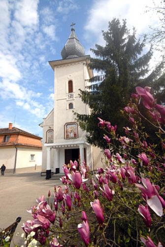 View The Mănăstirea Timişeni Album