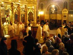 View The Hram_Catedrală-Sf.Iosif,2009 Album